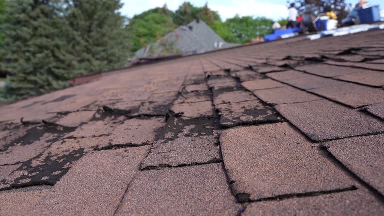 Best Roof Inspection  in Avis, PA