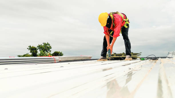 Best Skylight Installation and Repair  in Avis, PA
