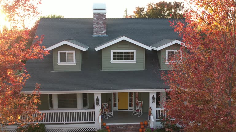 Best Asphalt Shingle Roofing  in Avis, PA
