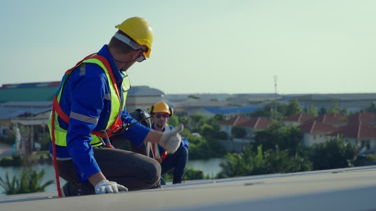 Best Steel Roofing  in Avis, PA