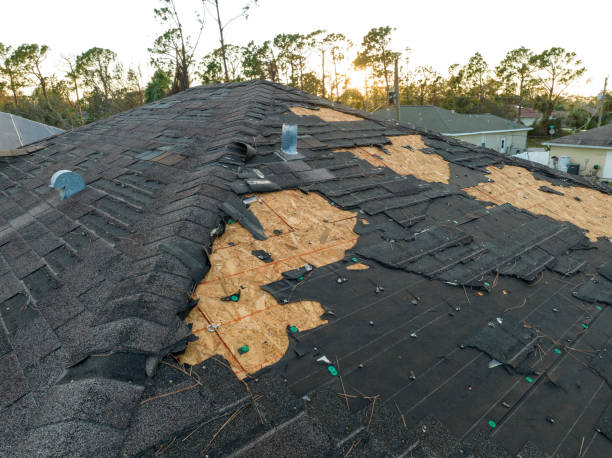 Best Roof Coating and Sealing  in Avis, PA