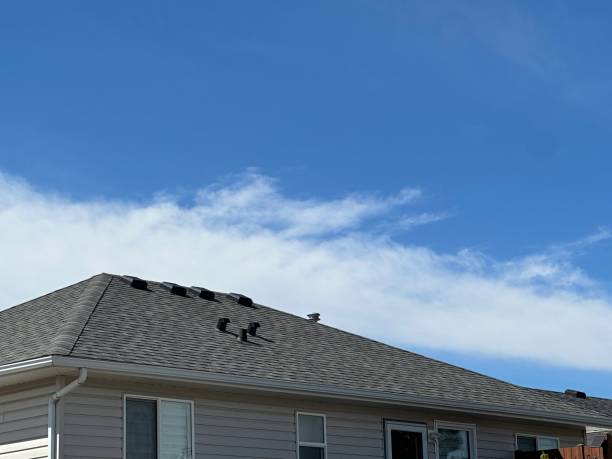 Fast & Reliable Emergency Roof Repairs in Avis, PA